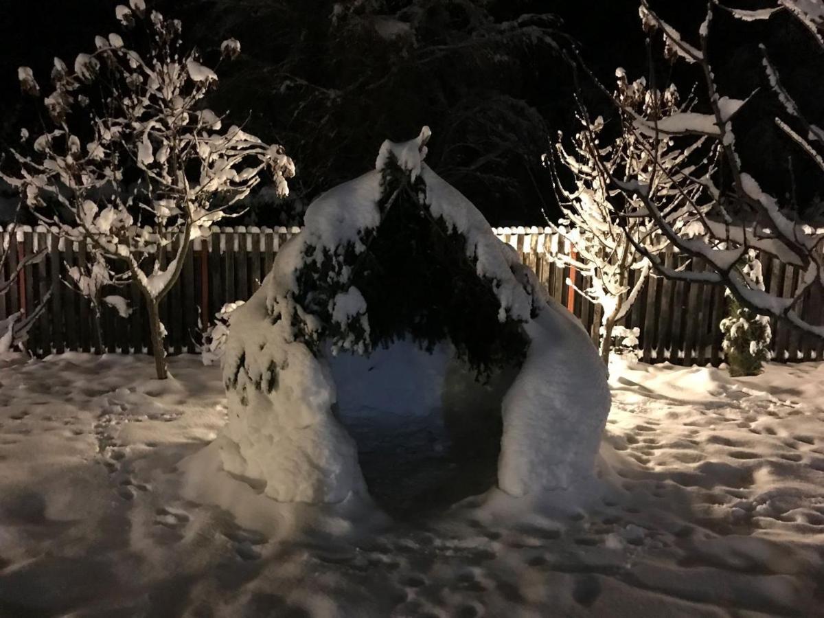 Cabana Jasmin Băile Chirui Eksteriør bilde