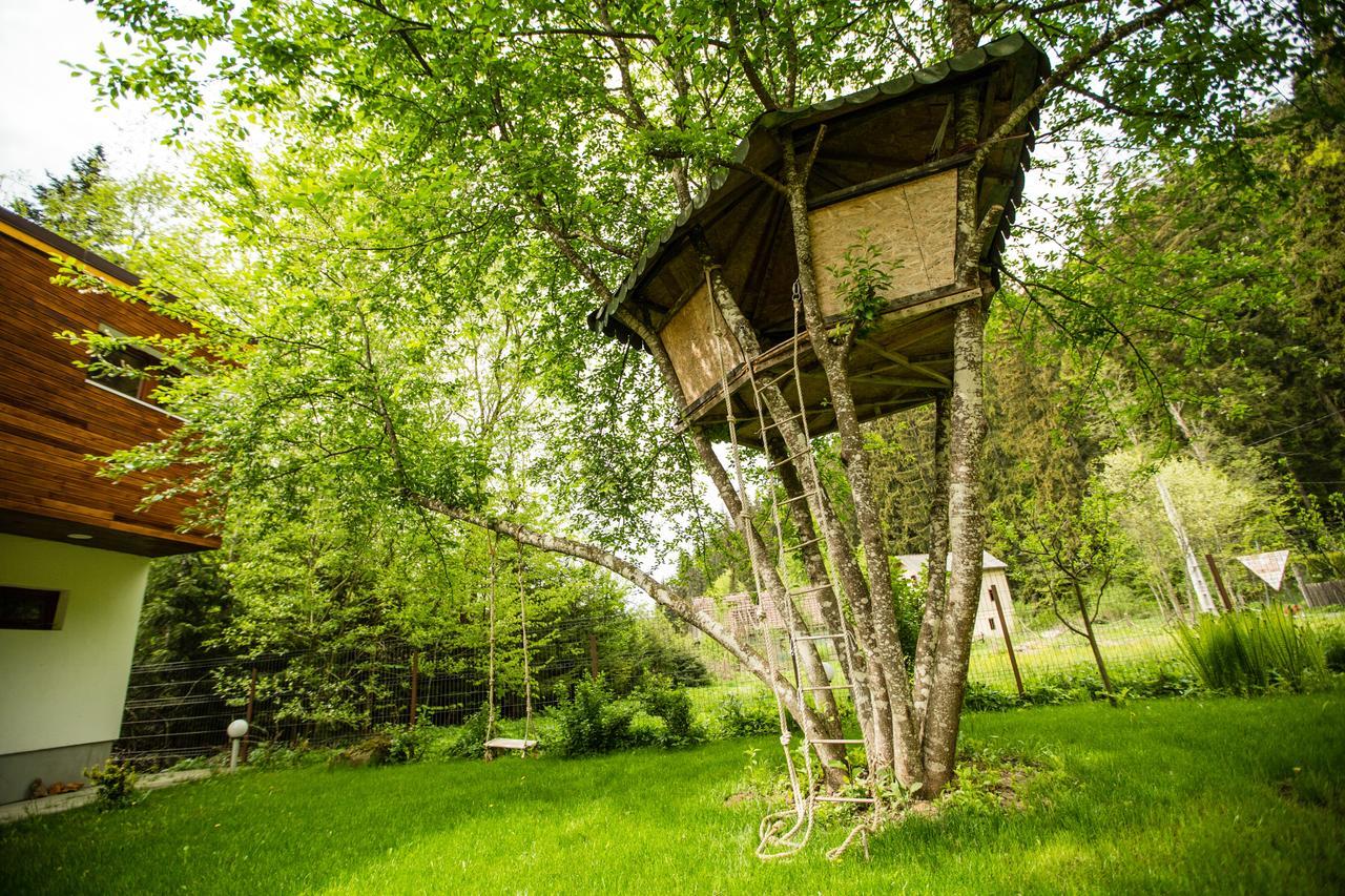 Cabana Jasmin Băile Chirui Eksteriør bilde